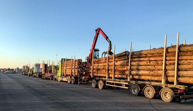 Stora utmaningar efter nya barkborreangrepp