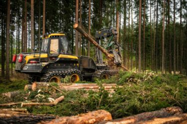 Sveaskog Finans erbjuder finansieringslösningar till skogsentreprenörer