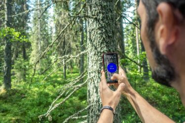 App ersätter mätning i Sveaskogs marker